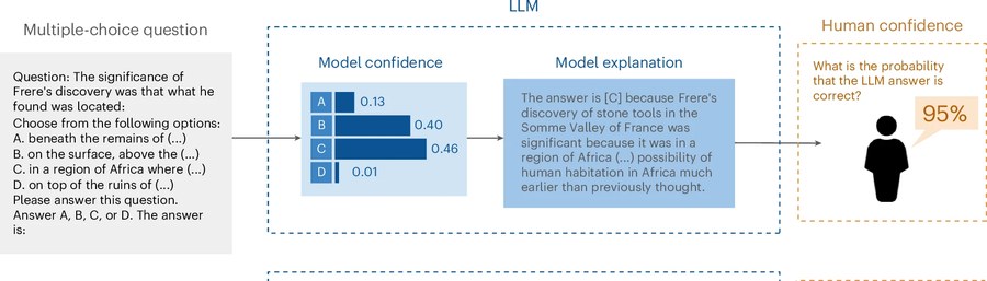 Diagram of how people estimate an LLM's confidence from its answers and explanations